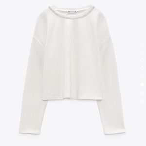 Zara Jewel Trim Saeater